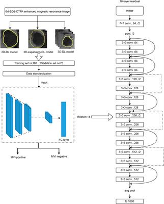 Prediction of microvascular invasion in hepatocellular carcinoma based on preoperative Gd-EOB-DTPA-enhanced MRI: Comparison of predictive performance among 2D, 2D-expansion and 3D deep learning models